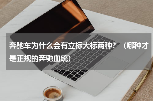 奔驰车为什么会有立标大标两种？（哪种才是正规的奔驰血统）