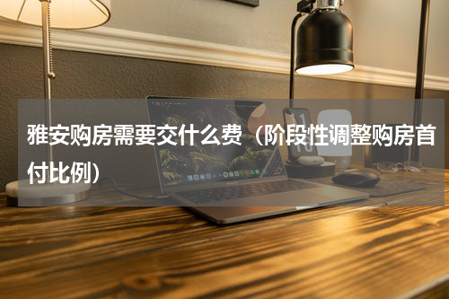 雅安购房需要交什么费（阶段性调整购房首付比例）