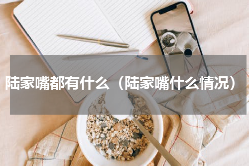 陆家嘴都有什么（陆家嘴什么情况）