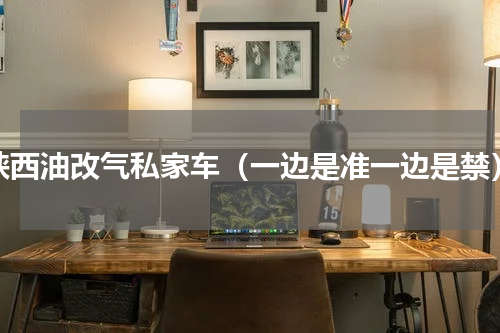 陕西油改气私家车（一边是准一边是禁）