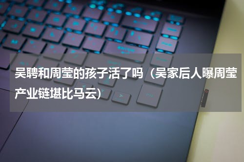 吴聘和周莹的孩子活了吗（吴家后人曝周莹产业链堪比马云）