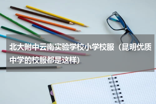 北大附中云南实验学校小学校服（昆明优质中学的校服都是这样）