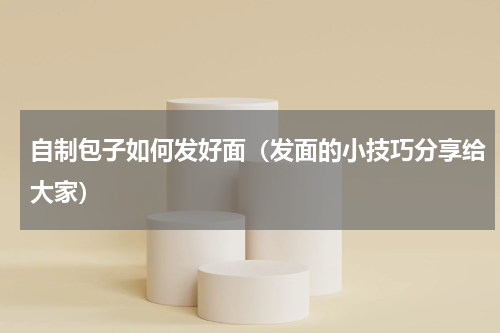 自制包子如何发好面（发面的小技巧分享给大家）