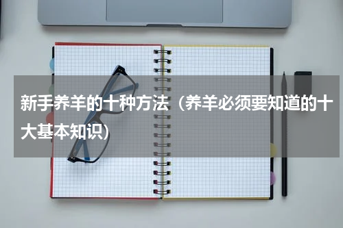 新手养羊的十种方法（养羊必须要知道的十大基本知识）