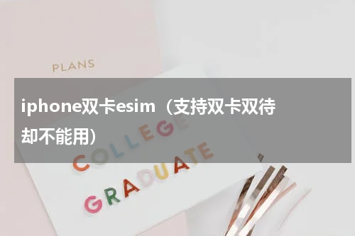 iphone双卡esim（支持双卡双待却不能用）