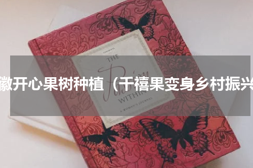 安徽开心果树种植（千禧果变身乡村振兴）