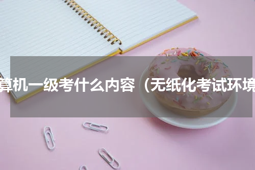 计算机一级考什么内容（无纸化考试环境）