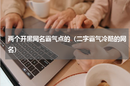 两个开黑网名霸气点的（二字霸气冷酷的网名）