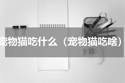 宠物猫吃什么（宠物猫吃啥）