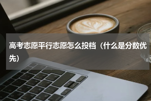 高考志愿平行志愿怎么投档（什么是分数优先）