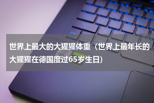 世界上最大的大猩猩体重（世界上最年长的大猩猩在德国度过65岁生日）