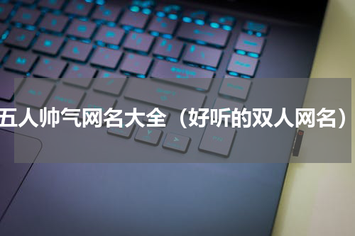 五人帅气网名大全（好听的双人网名）
