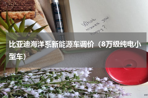 比亚迪海洋系新能源车调价（8万级纯电小型车）