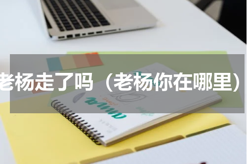 老杨走了吗（老杨你在哪里）