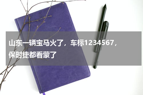 山东一辆宝马火了，车标1234567，保时捷都看蒙了