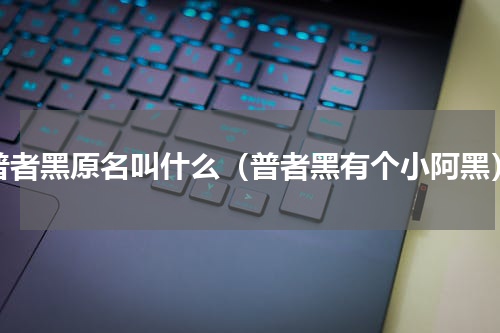 普者黑原名叫什么（普者黑有个小阿黑）