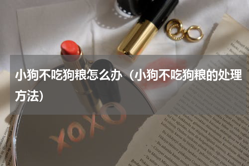小狗不吃狗粮怎么办（小狗不吃狗粮的处理方法）