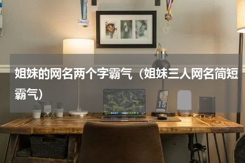 姐妹的网名两个字霸气（姐妹三人网名简短霸气）