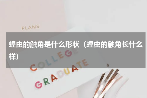 蝗虫的触角是什么形状（蝗虫的触角长什么样）