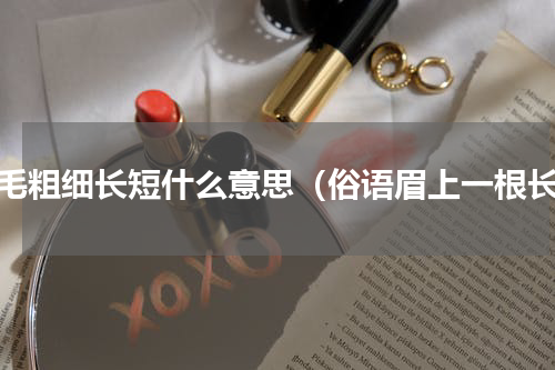 眉毛粗细长短什么意思（俗语眉上一根长）