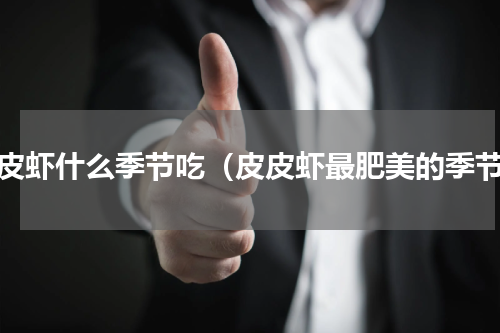 皮皮虾什么季节吃（皮皮虾最肥美的季节）