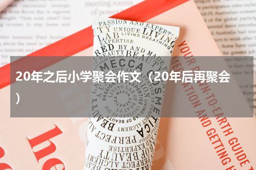 20年之后小学聚会作文（20年后再聚会）