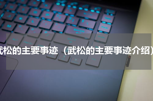武松的主要事迹（武松的主要事迹介绍）