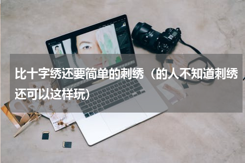 比十字绣还要简单的刺绣（的人不知道刺绣还可以这样玩）