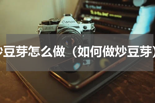 炒豆芽怎么做（如何做炒豆芽）