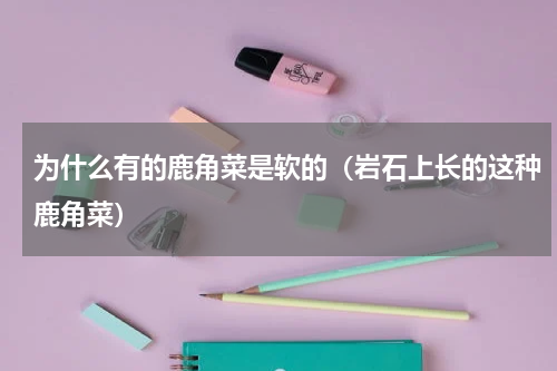 为什么有的鹿角菜是软的（岩石上长的这种鹿角菜）