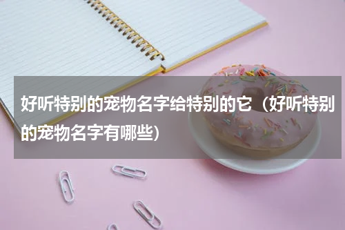 好听特别的宠物名字给特别的它（好听特别的宠物名字有哪些）