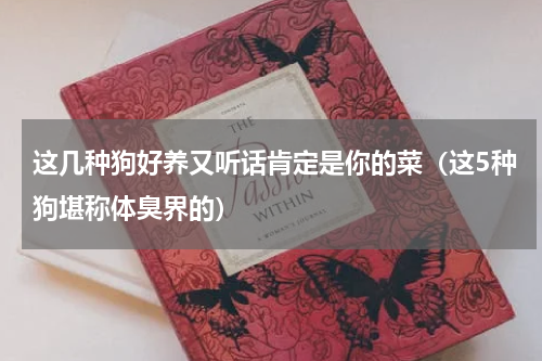 这几种狗好养又听话肯定是你的菜（这5种狗堪称体臭界的）