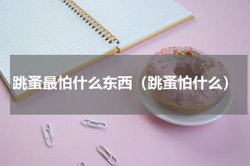 跳蚤最怕什么东西（跳蚤怕什么）