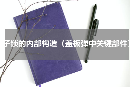 弹子锁的内部构造（盖板弹中关键部件）