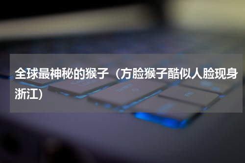 全球最神秘的猴子（方脸猴子酷似人脸现身浙江）