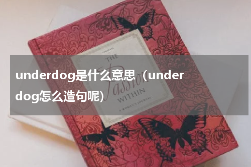 underdog是什么意思（underdog怎么造句呢）