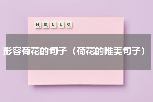 形容荷花的句子（荷花的唯美句子）