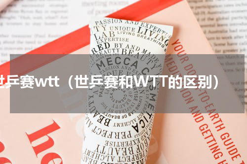 世乒赛wtt（世乒赛和WTT的区别）