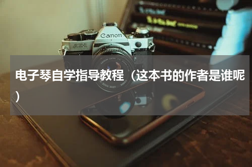 电子琴自学指导教程（这本书的作者是谁呢）