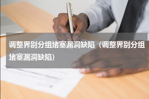 调整界别分组堵塞漏洞缺陷（调整界别分组堵塞漏洞缺陷）