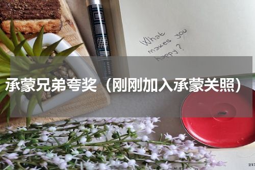 承蒙兄弟夸奖（刚刚加入承蒙关照）