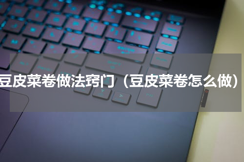 豆皮菜卷做法窍门（豆皮菜卷怎么做）