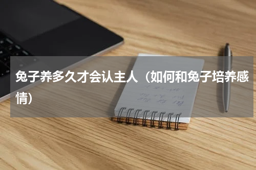 兔子养多久才会认主人（如何和兔子培养感情）