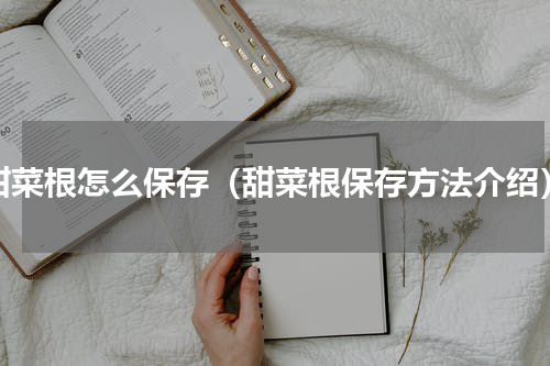 甜菜根怎么保存（甜菜根保存方法介绍）