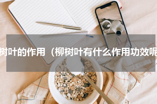 柳树叶的作用（柳树叶有什么作用功效呢）