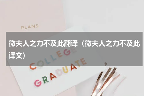 微夫人之力不及此翻译（微夫人之力不及此译文）