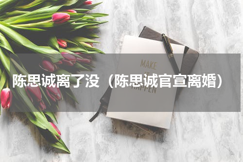 陈思诚离了没（陈思诚官宣离婚）