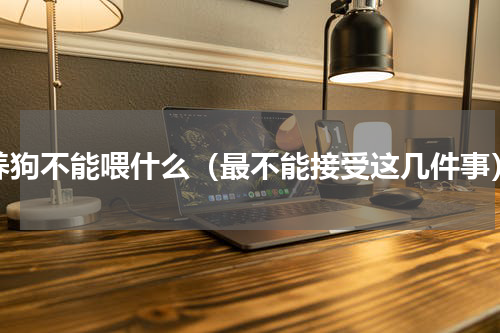 养狗不能喂什么（最不能接受这几件事）