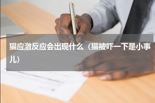 猫应激反应会出现什么（猫被吓一下是小事儿）