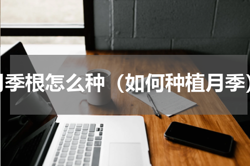 月季根怎么种（如何种植月季）